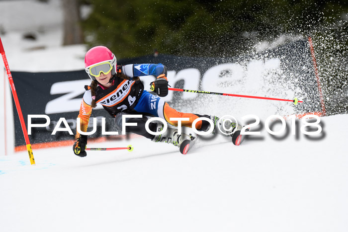 4. Ziener Cup 2018 RS ASV