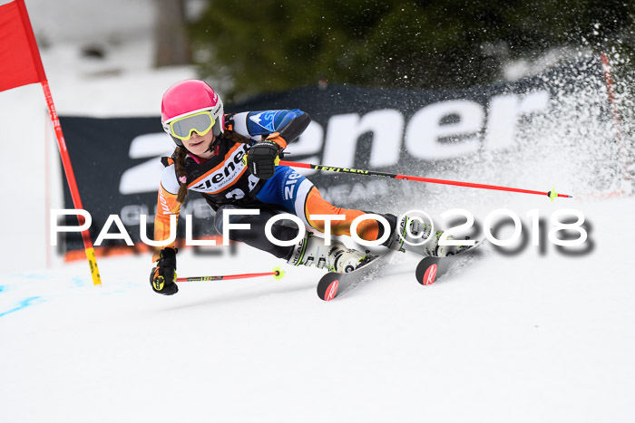 4. Ziener Cup 2018 RS ASV