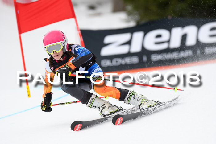 4. Ziener Cup 2018 RS ASV