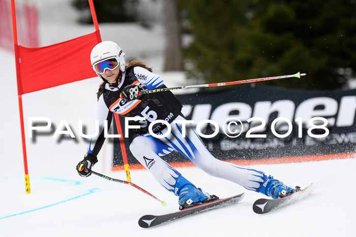 4. Ziener Cup 2018 RS ASV