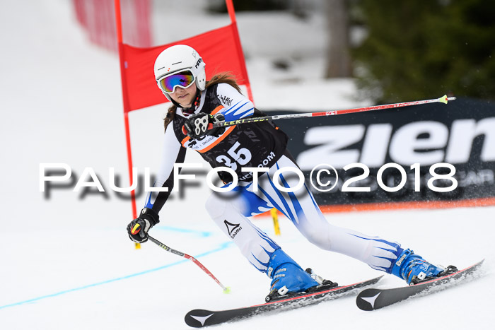 4. Ziener Cup 2018 RS ASV