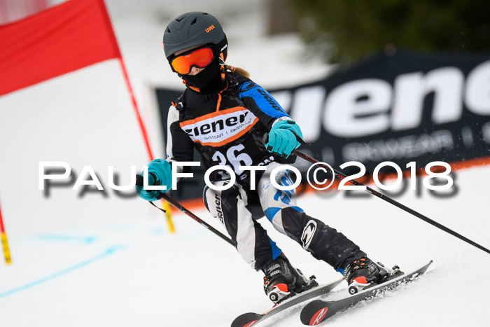 4. Ziener Cup 2018 RS ASV