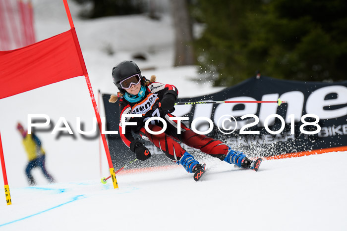 4. Ziener Cup 2018 RS ASV