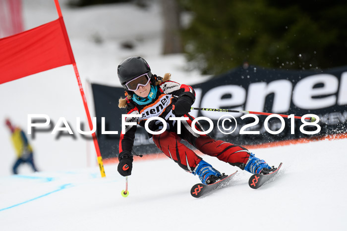 4. Ziener Cup 2018 RS ASV