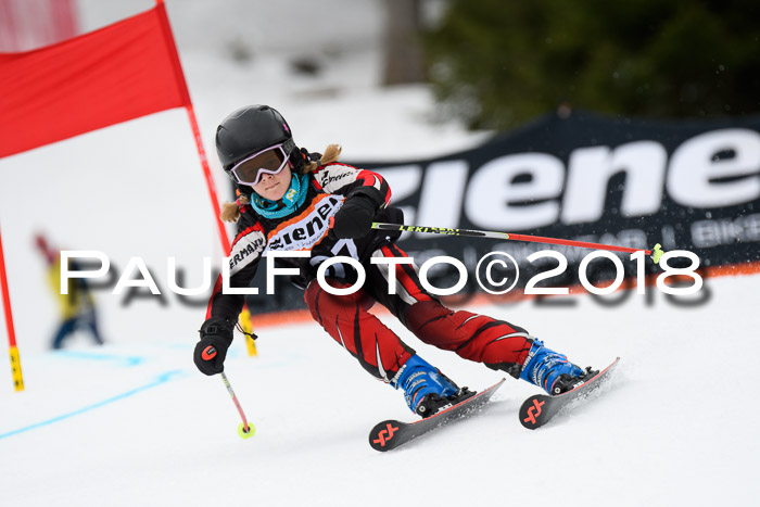 4. Ziener Cup 2018 RS ASV