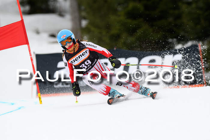 4. Ziener Cup 2018 RS ASV