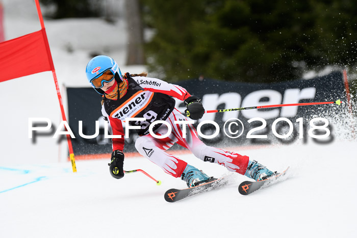 4. Ziener Cup 2018 RS ASV
