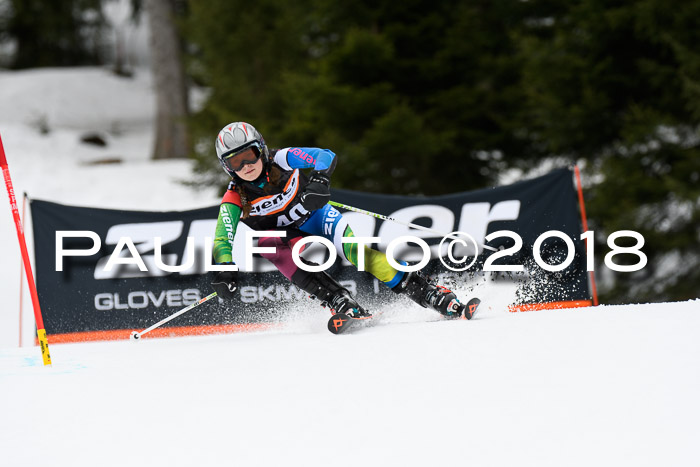 4. Ziener Cup 2018 RS ASV
