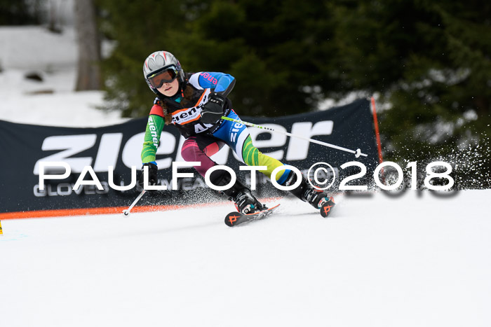 4. Ziener Cup 2018 RS ASV
