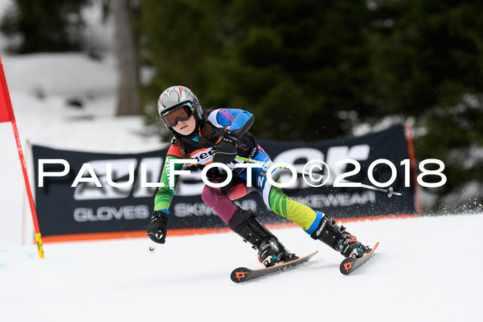 4. Ziener Cup 2018 RS ASV