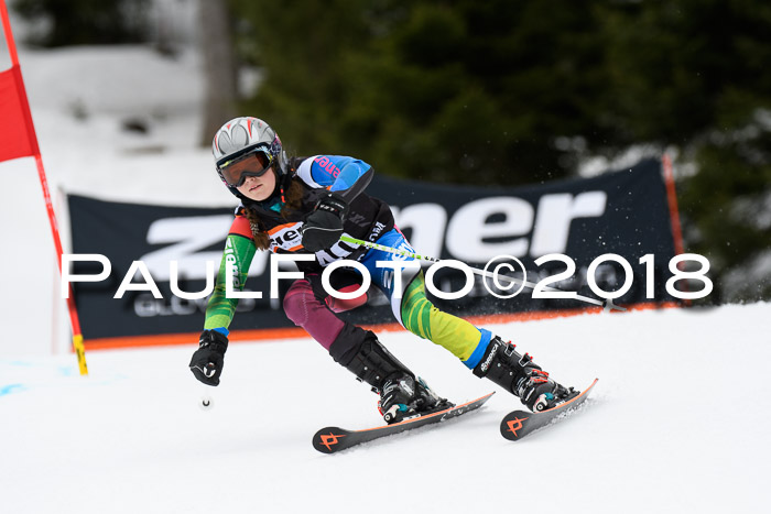 4. Ziener Cup 2018 RS ASV