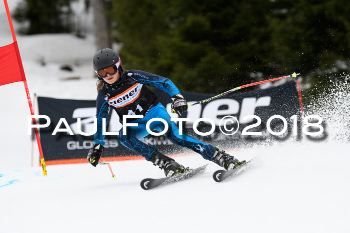 4. Ziener Cup 2018 RS ASV