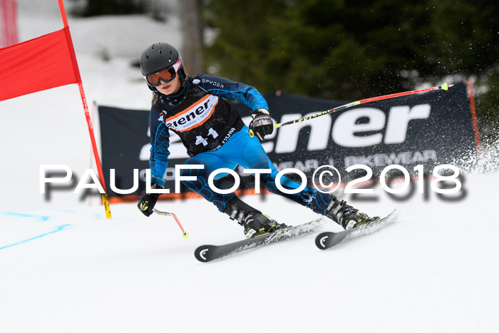 4. Ziener Cup 2018 RS ASV