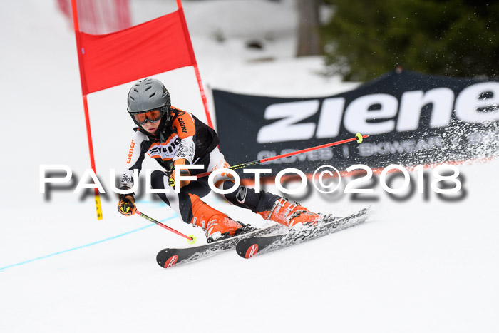 4. Ziener Cup 2018 RS ASV
