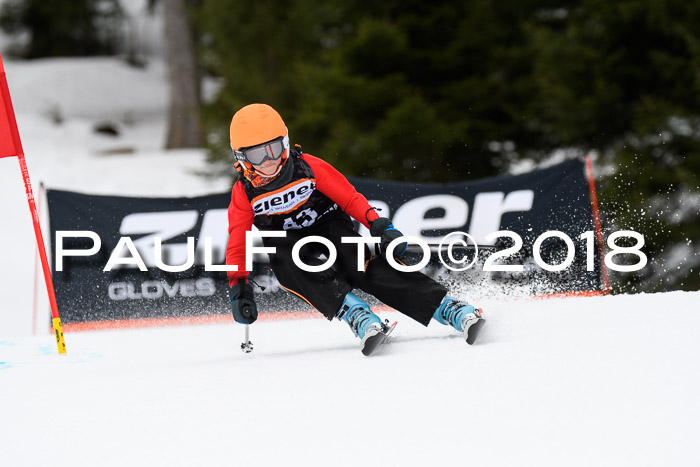 4. Ziener Cup 2018 RS ASV