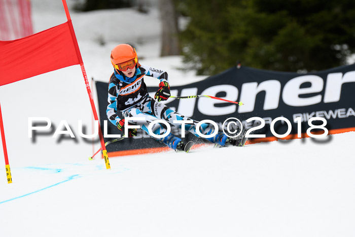 4. Ziener Cup 2018 RS ASV