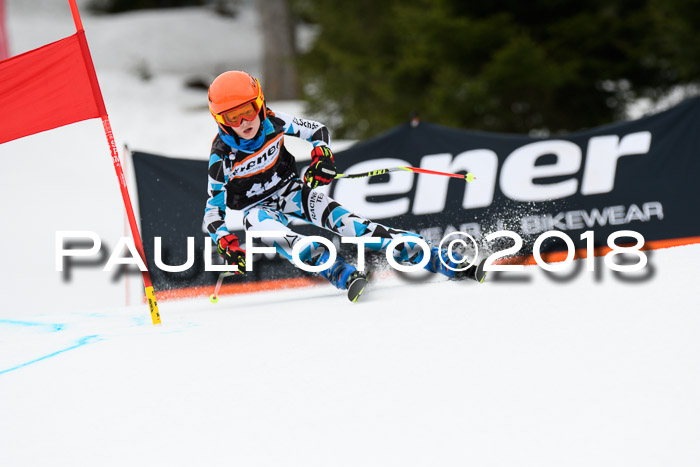 4. Ziener Cup 2018 RS ASV