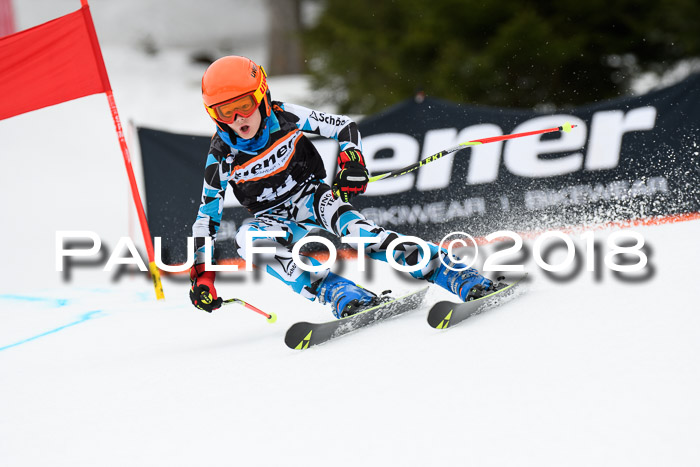 4. Ziener Cup 2018 RS ASV