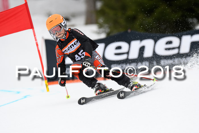 4. Ziener Cup 2018 RS ASV