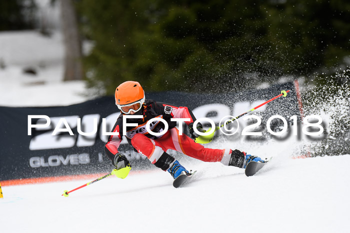 4. Ziener Cup 2018 RS ASV