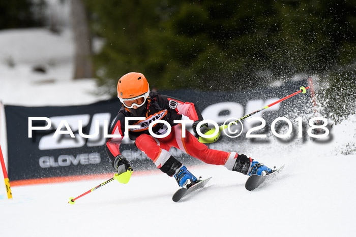 4. Ziener Cup 2018 RS ASV