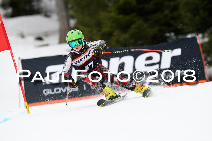 4. Ziener Cup 2018 RS ASV