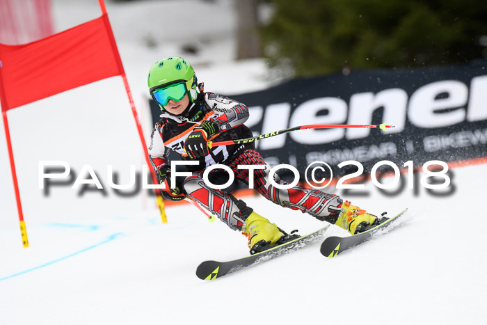 4. Ziener Cup 2018 RS ASV