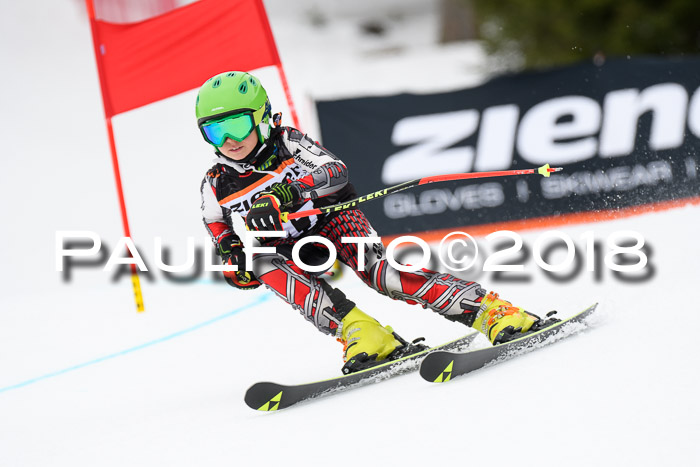 4. Ziener Cup 2018 RS ASV