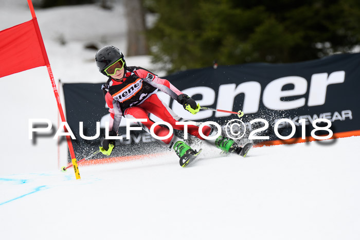4. Ziener Cup 2018 RS ASV