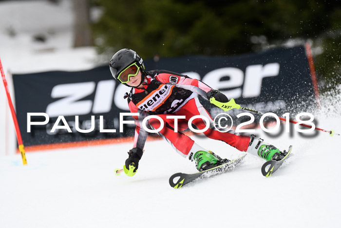 4. Ziener Cup 2018 RS ASV