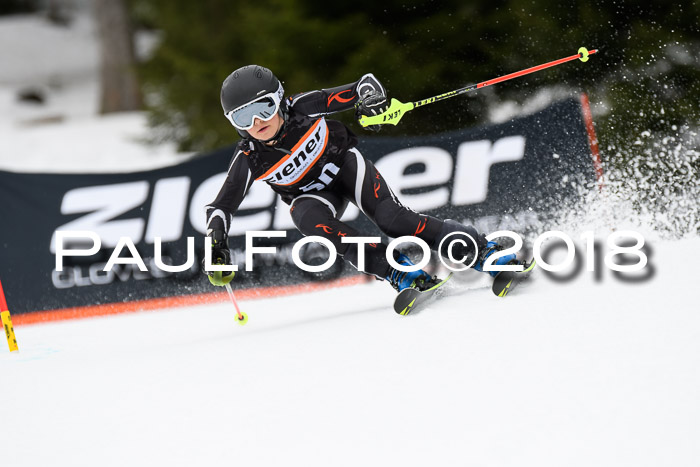 4. Ziener Cup 2018 RS ASV