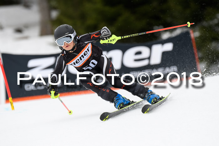 4. Ziener Cup 2018 RS ASV