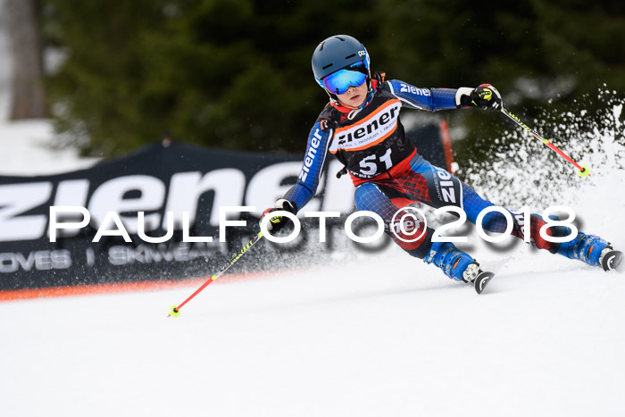 4. Ziener Cup 2018 RS ASV