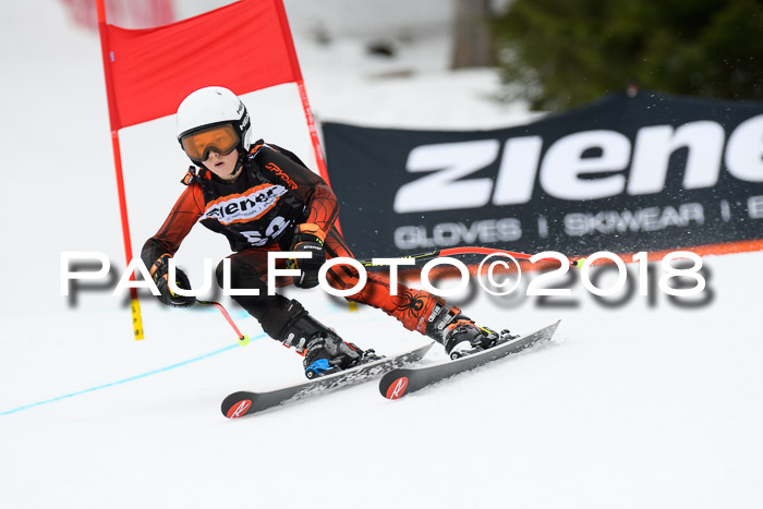 4. Ziener Cup 2018 RS ASV