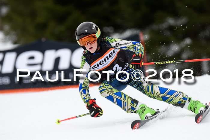 4. Ziener Cup 2018 RS ASV