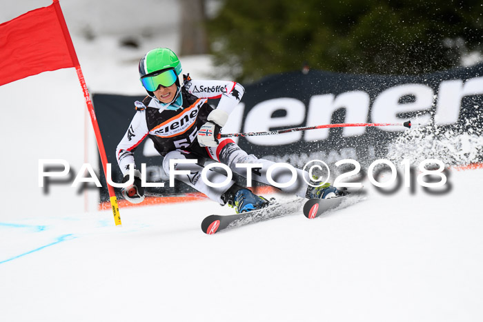4. Ziener Cup 2018 RS ASV