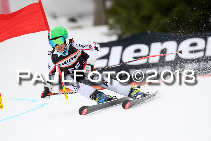 4. Ziener Cup 2018 RS ASV