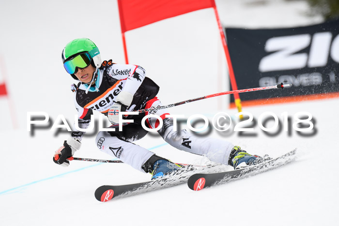 4. Ziener Cup 2018 RS ASV
