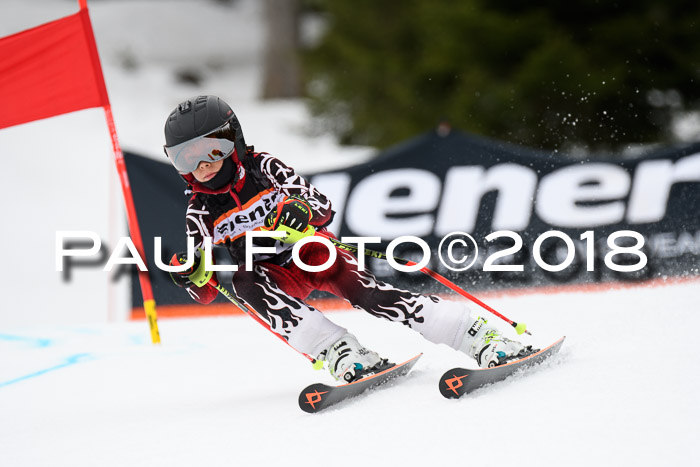 4. Ziener Cup 2018 RS ASV