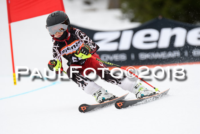 4. Ziener Cup 2018 RS ASV