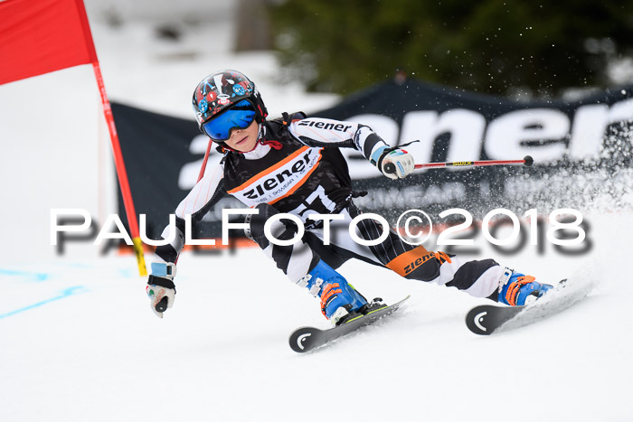 4. Ziener Cup 2018 RS ASV
