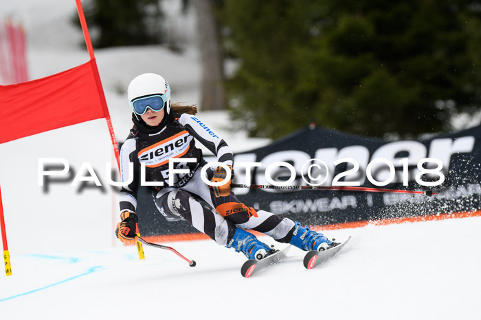 4. Ziener Cup 2018 RS ASV