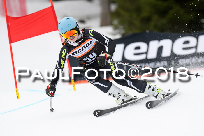4. Ziener Cup 2018 RS ASV