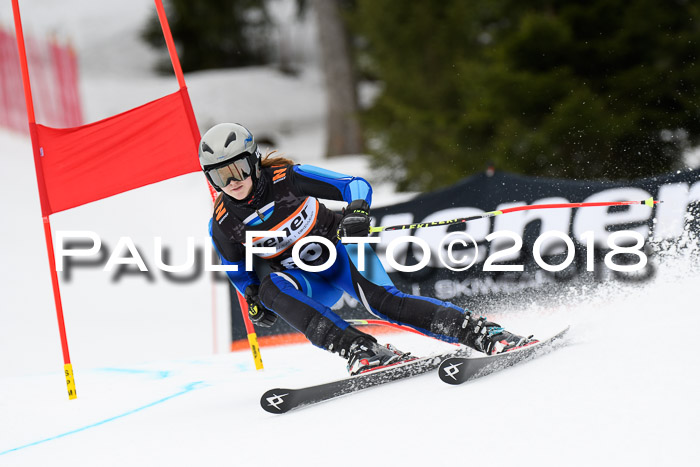 4. Ziener Cup 2018 RS ASV