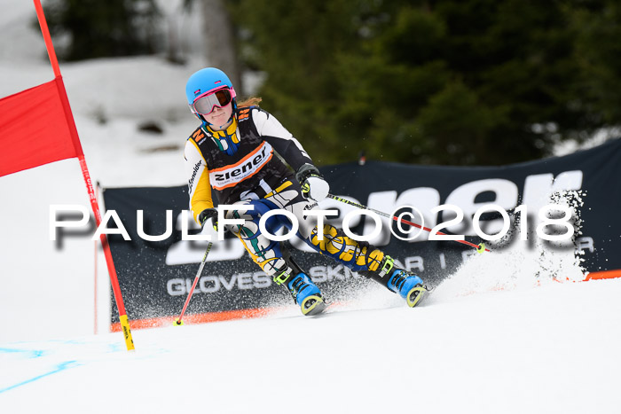 4. Ziener Cup 2018 RS ASV