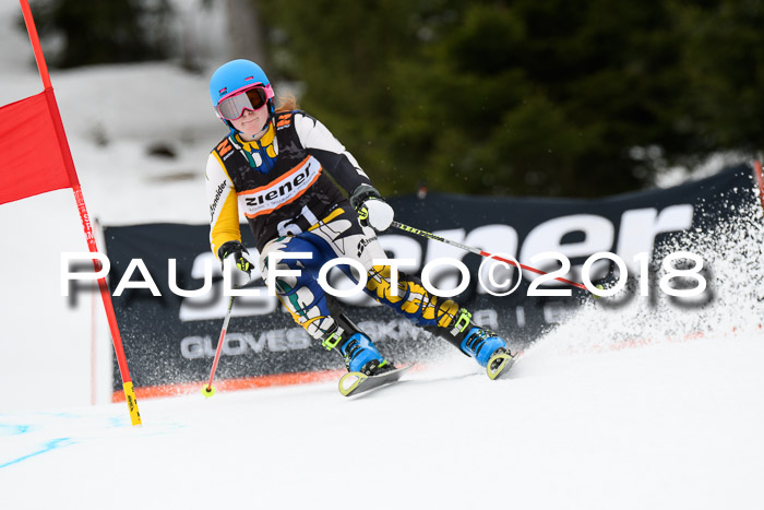 4. Ziener Cup 2018 RS ASV