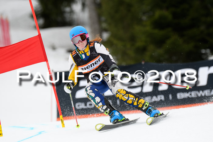 4. Ziener Cup 2018 RS ASV