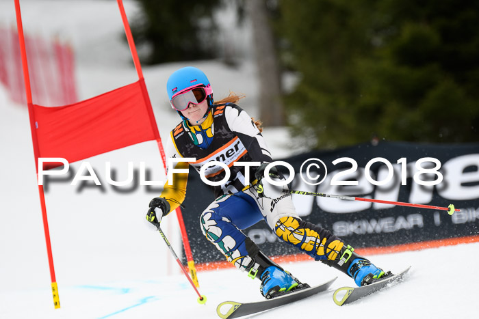 4. Ziener Cup 2018 RS ASV