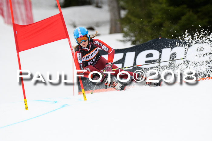 4. Ziener Cup 2018 RS ASV