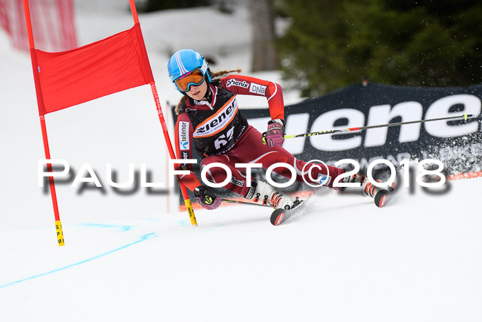 4. Ziener Cup 2018 RS ASV